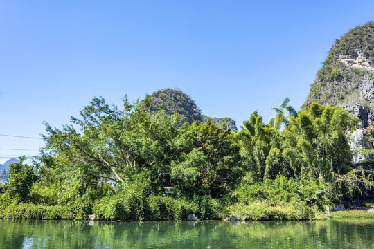 阳朔大榕树景区