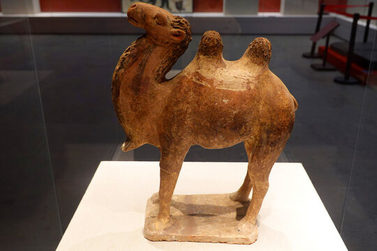 彩绘红陶骆驼俑