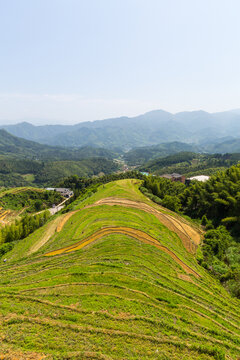 山寨梯田