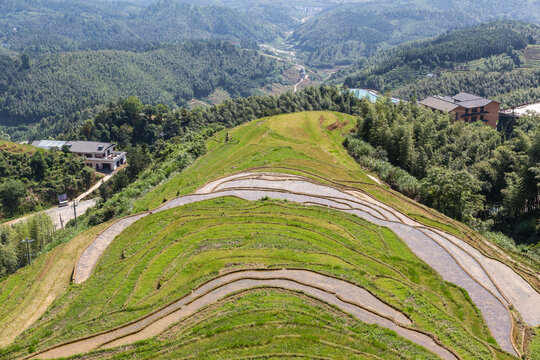 山寨梯田