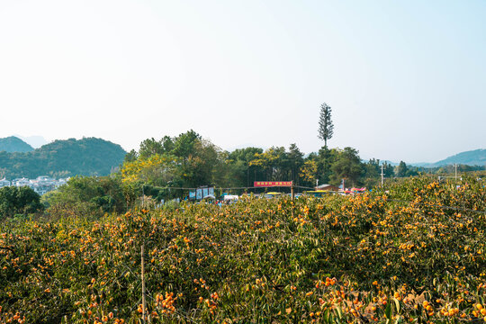 恭城红岩村停车场