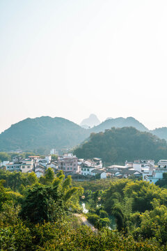 恭城红岩村莲花河竹林