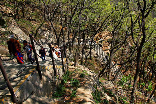 连云港花果山登山路