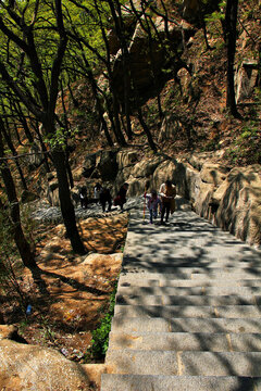 连云港花果山登山路