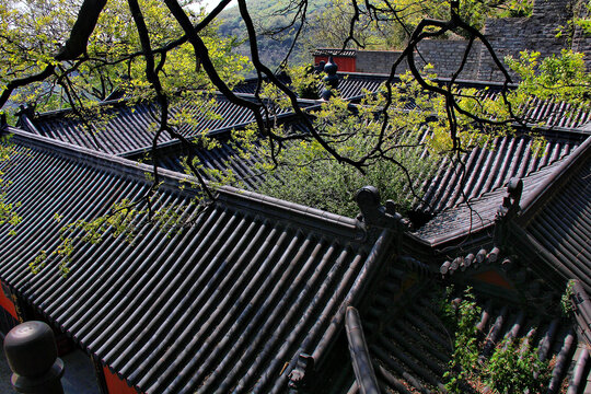 花果山中式建筑房檐