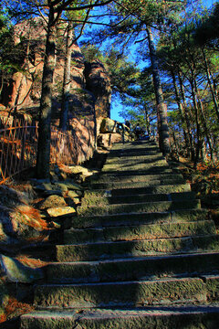 黄山登山路