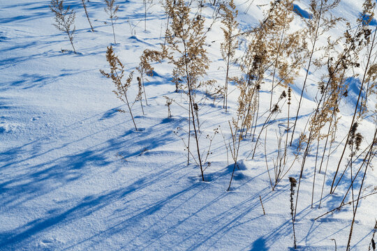 东北冬季冰雪阳光草地