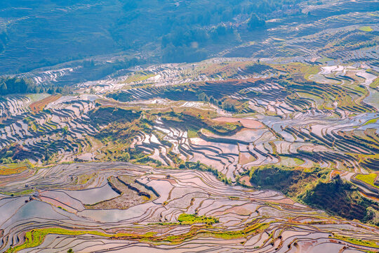 云南元阳梯田的风景