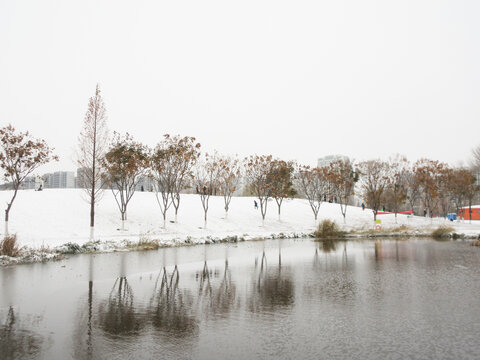 白雪