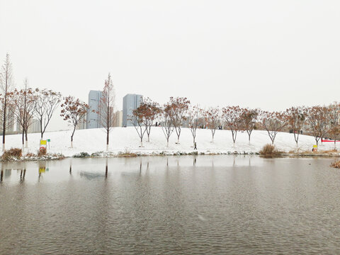 公园雪景