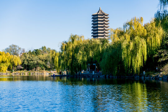 北京大学风光