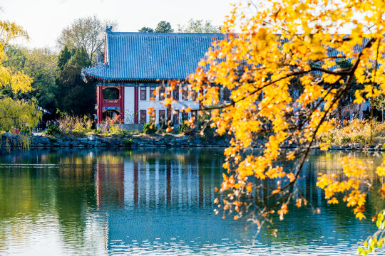 北京大学风光