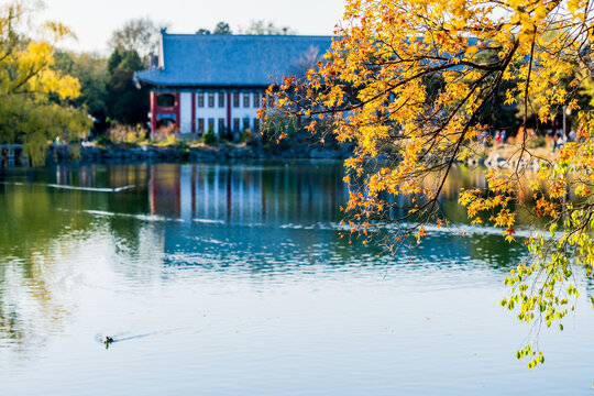 北京大学风光