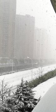 雪中城市街道