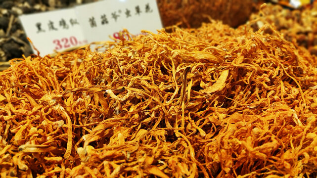 虫草花