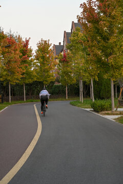 枫林小道一个人骑行自行车运动