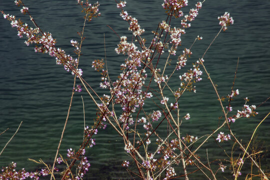 泸沽湖