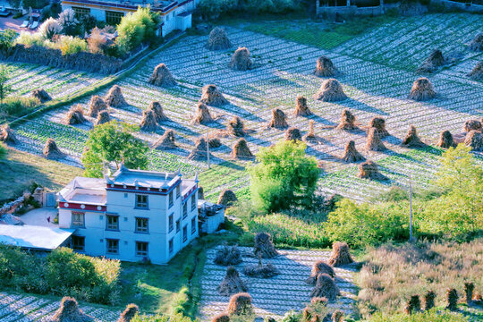 藏族民居