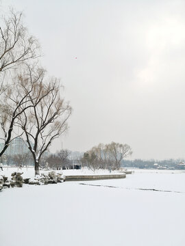 雪景