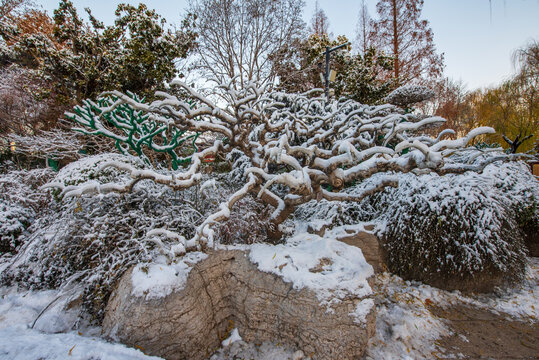 济南趵突泉公园雪景