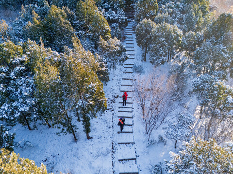 济南佛慧山雪景