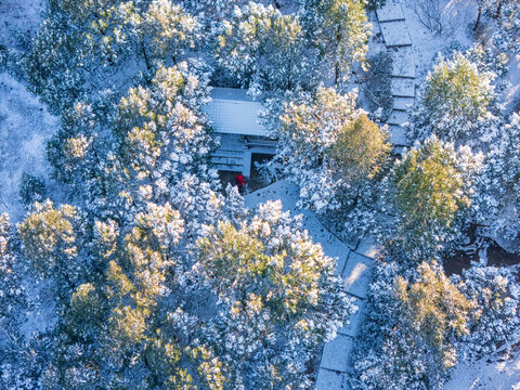 济南佛慧山雪景