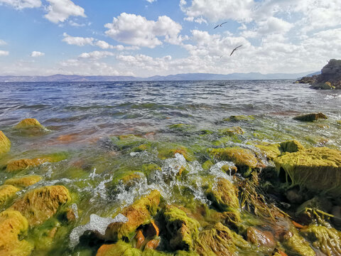 抚仙湖