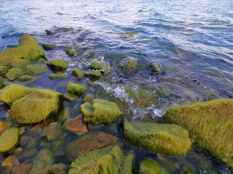 湖畔长满绿苔的石头