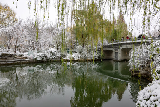 济南的冬天大明湖雪景