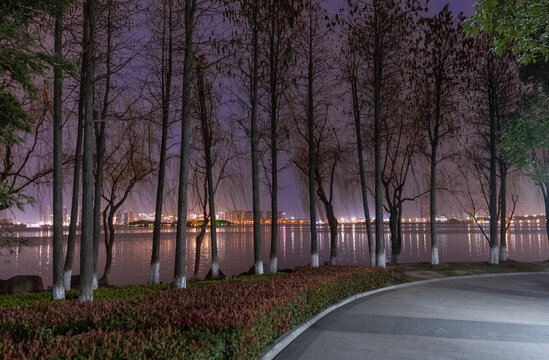 尹山湖夜色