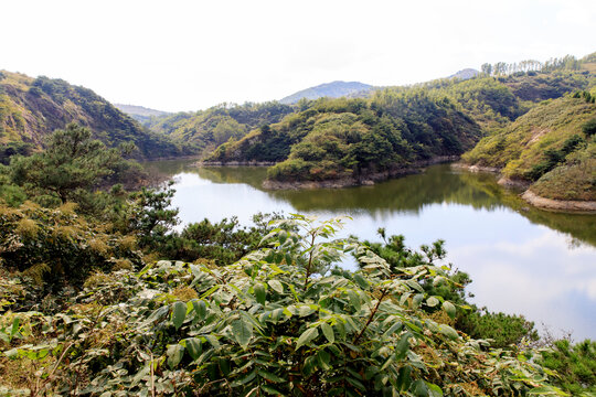 青山绿水