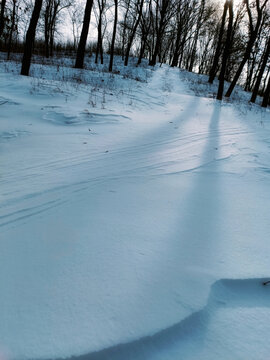 雪地