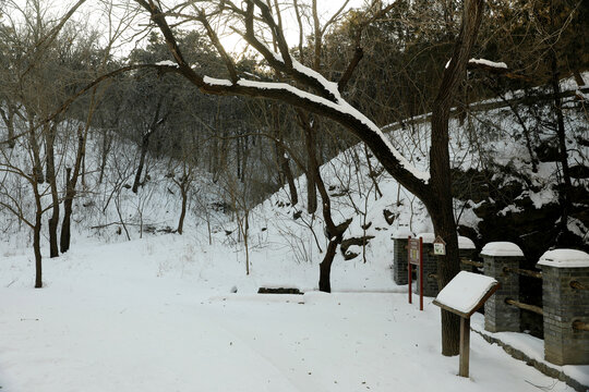 雪景