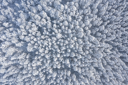 金华北山雪景