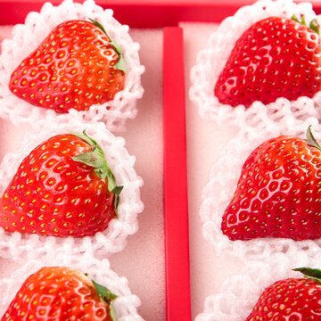 礼盒装的新鲜大丹东草莓