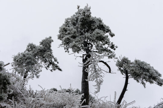 冬季大山的雪后风景