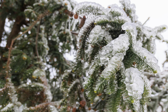 冬季大山的雪后风景