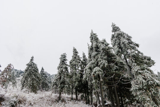 冬季大山的雪后风景