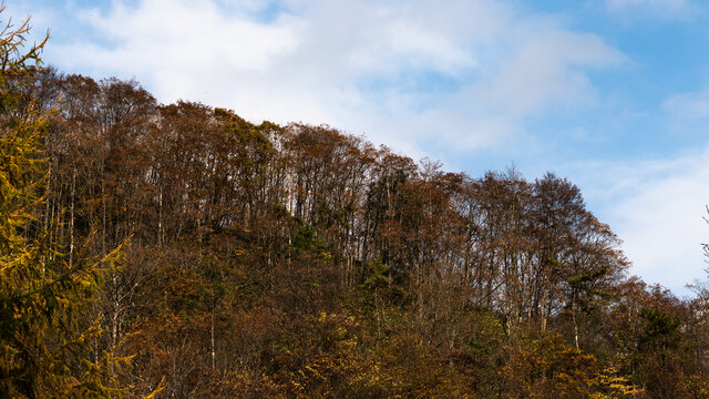 光雾山