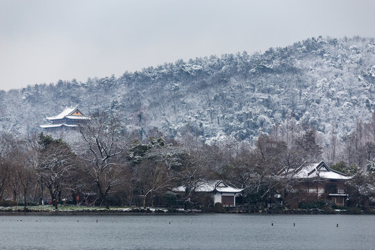 杭州苏堤雪韵