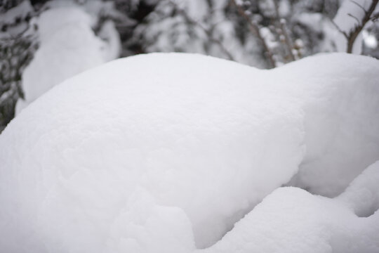 积雪