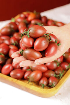 手里拿着混色小番茄