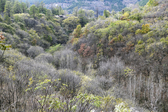 山东枣庄山亭区葫芦套景区秋景