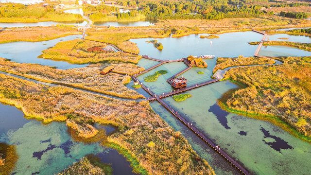 杭州湾湿地公园航拍金黄的秋色