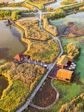 杭州湾湿地公园航拍秋色小房子