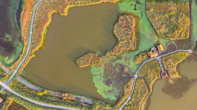 杭州湾湿地公园秋景航拍傍晚湿地