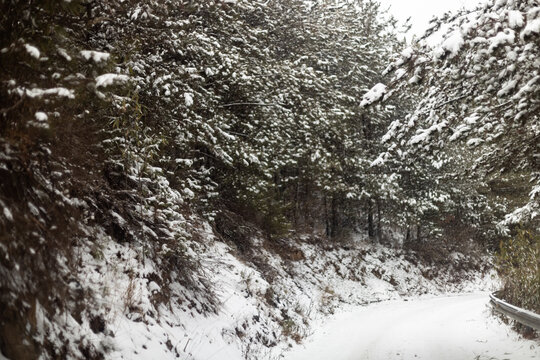 冬季积雪覆盖的森林公路