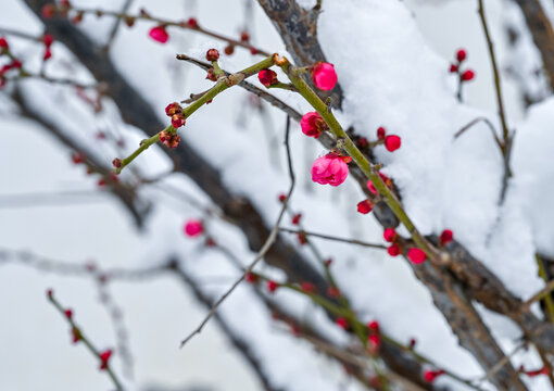 中国开封七盛角水系冬天雪景