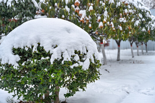 中国开封七盛角水系冬天雪景