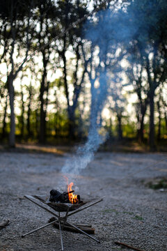 树林中燃烧的篝火